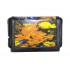Картридж Sega Mega Drive 16 bit Greendog